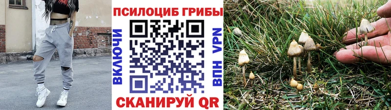 наркота  Первоуральск  Псилоцибиновые грибы GOLDEN TEACHER 