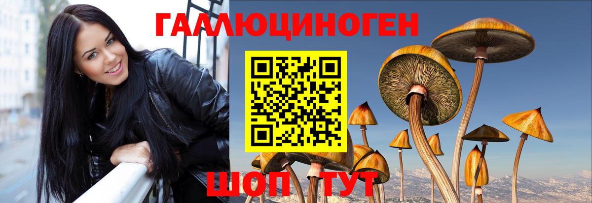 Первоуральск  где купить наркоту  Вход с VPN  Галлюциногенные грибы MAGIC MUSHROOMS 